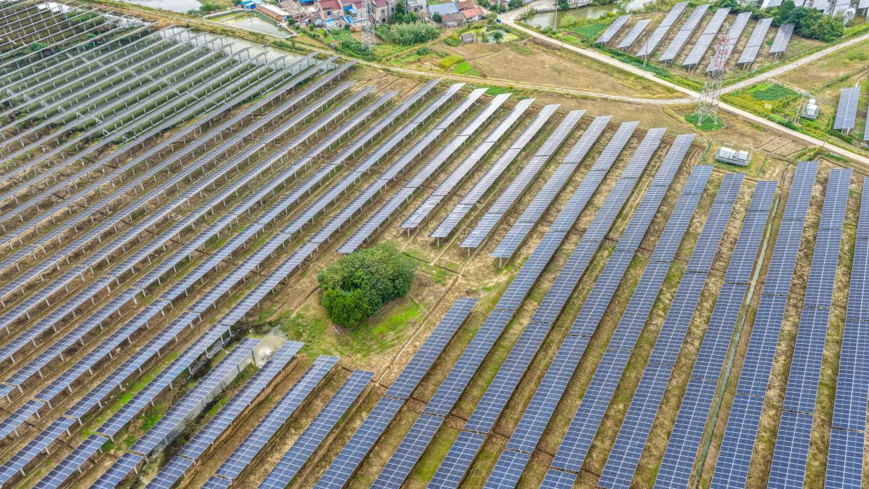 图1 前期调研现场