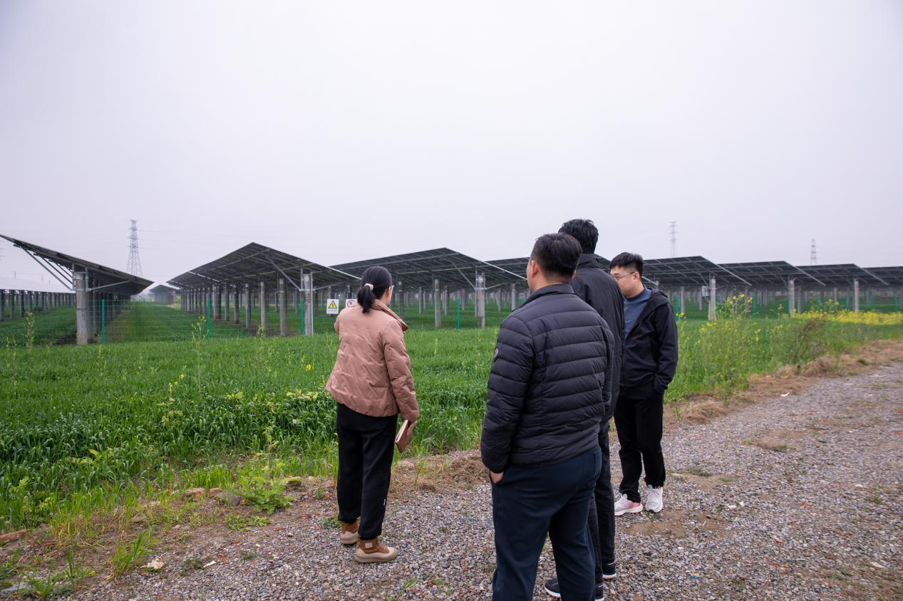 图2 光伏项目调研现场