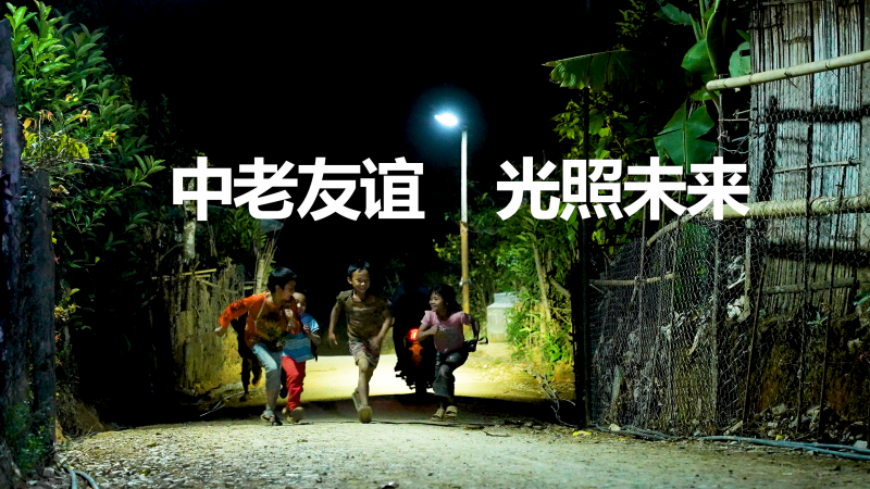 朴树村封面 朴树村封面