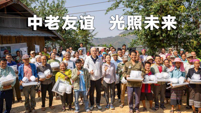 龙进村封面 龙进村封面