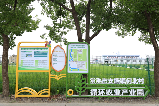 图2 图2