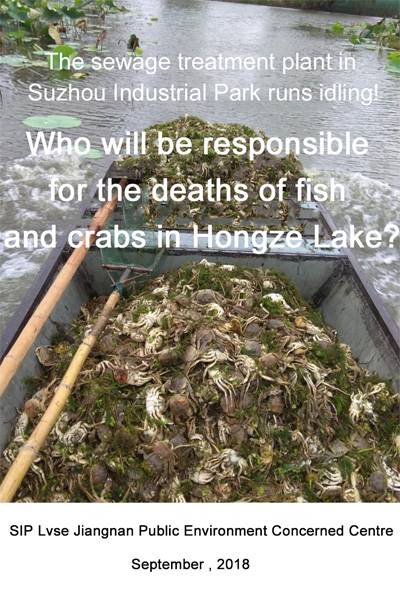 Who will be responsible for the deaths of fish and crabs in Hongze Lake?