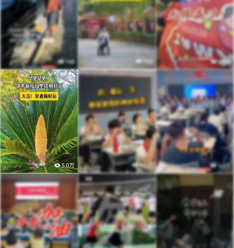 微信图片_2025-06-17_095411_984