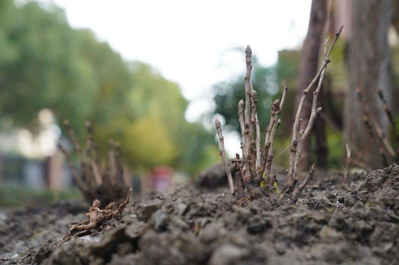 微信图片_2025-11-12_075300_394