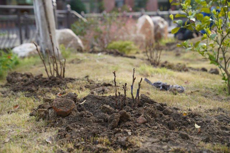 微信图片_2025-11-12_075322_675