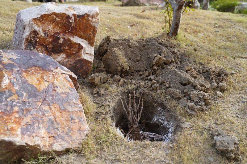 微信图片_2025-11-12_075328_928