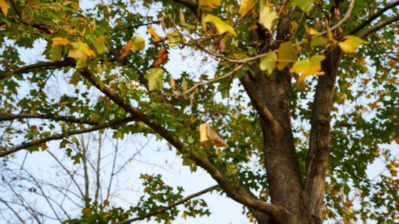 微信图片_2025-11-17_131625_018