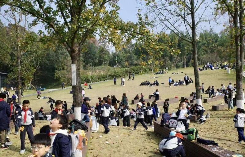 微信图片_2025-11-17_131757_885