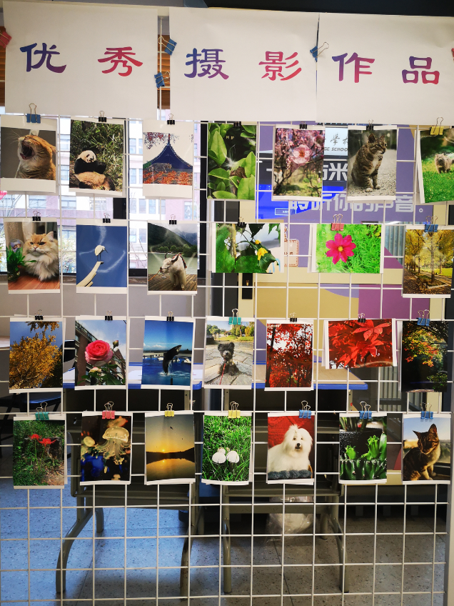 微信图片_2026-01-09_084746_081