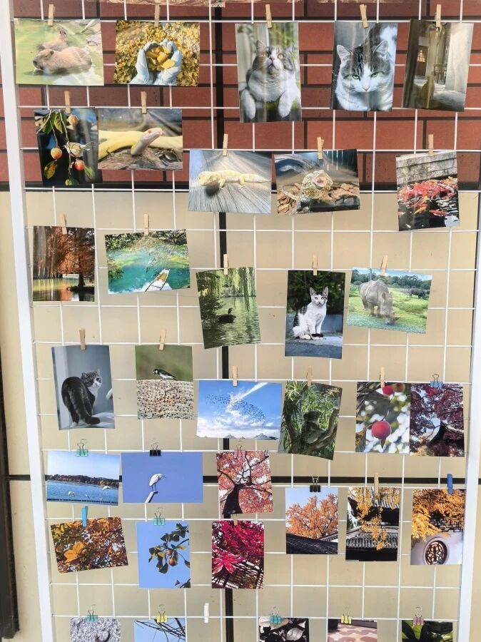 微信图片_2026-01-09_084751_868