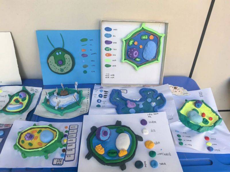 微信图片_2026-01-09_084759_536