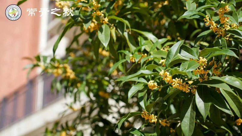 微信图片_2026-03-01_124626_377 微信图片_2026-03-01_124626_377