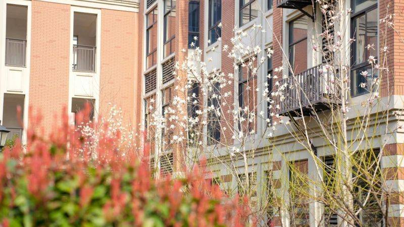 微信图片_2026-03-13_161429_726