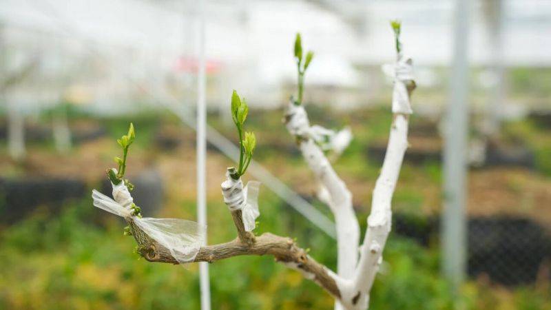 微信图片_2026-04-29_193130_059