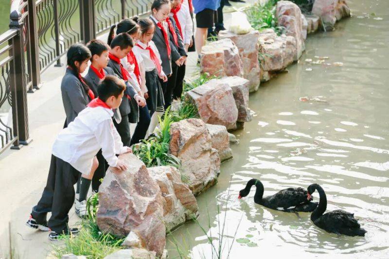 微信图片_2026-06-11_081758_267 微信图片_2026-06-11_081758_267