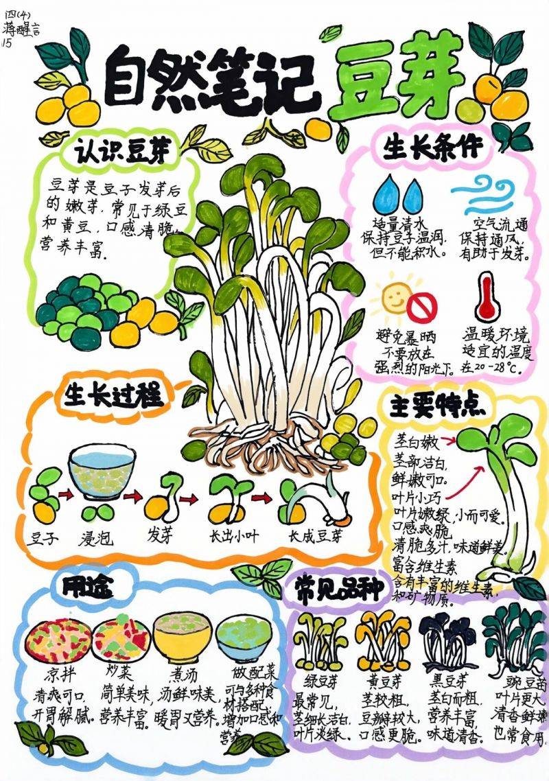 微信图片_2026-10-13_084231_333