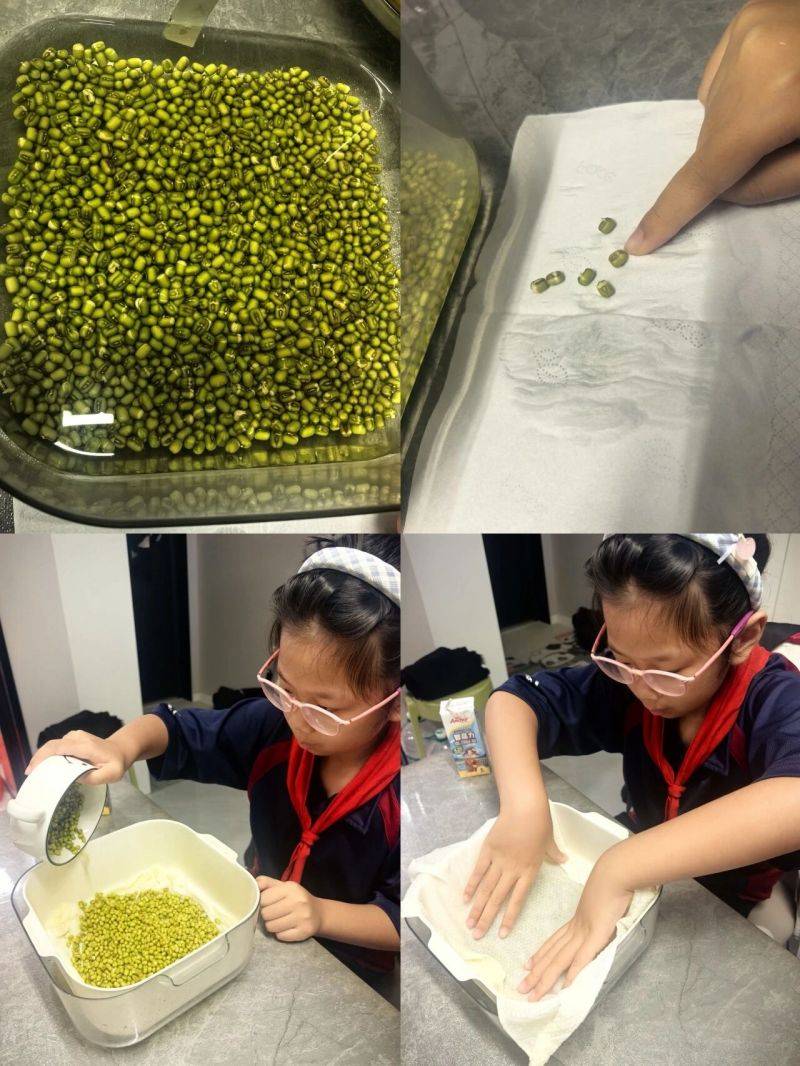 微信图片_2026-10-13_084327_054